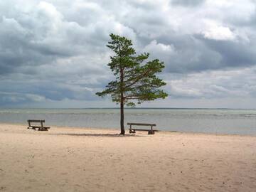 Фото номера Дом с 3 спальнями Дома для отпуска Kuunari Holiday Home г. Мяндьяла 56